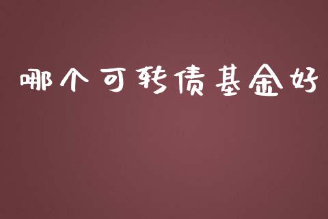 哪个可转债基金好_https://www.apanben.com_期货学院_第1张