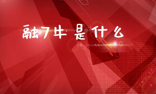 融7牛是什么_https://www.apanben.com_期货学院_第1张