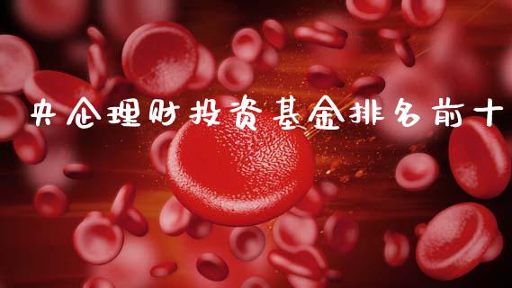 央企理财投资基金排名前十_https://www.apanben.com_国际财经_第1张