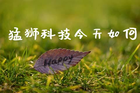 猛狮科技今天如何_https://www.apanben.com_股票怎么玩_第1张