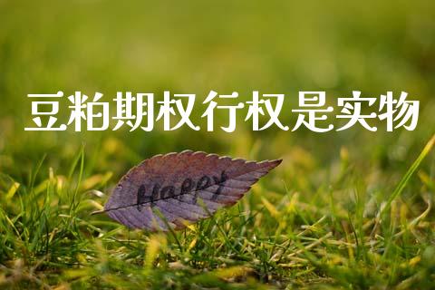 豆粕期权行权是实物_https://www.apanben.com_股票怎么玩_第1张