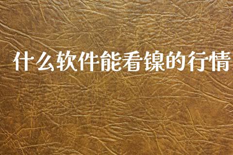 什么软件能看镍的行情_https://www.apanben.com_期货学院_第1张
