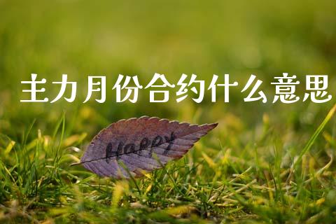 主力月份合约什么意思_https://www.apanben.com_股票怎么玩_第1张