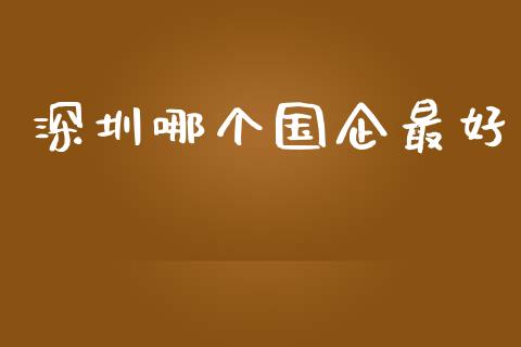 深圳哪个国企最好_https://www.apanben.com_国际财经_第1张