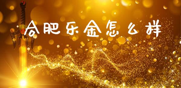 合肥乐金怎么样_https://www.apanben.com_期货学院_第1张