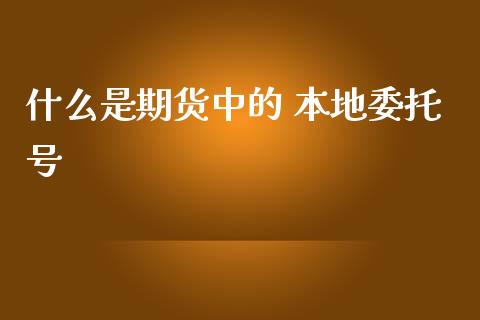 什么是期货中的 本地委托号_https://www.apanben.com_股市分析_第1张