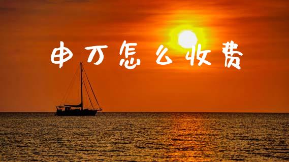 申万怎么收费_https://www.apanben.com_国际期货_第1张