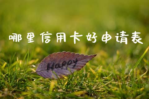 哪里信用卡好申请表_https://www.apanben.com_股票怎么玩_第1张
