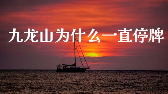 九龙山为什么一直停牌_https://www.apanben.com_期货学院_第1张