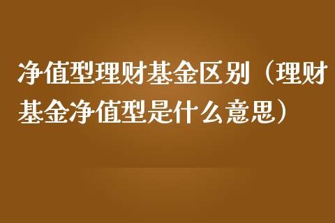 净值型理财基金区别（理财基金净值型是什么意思）_https://www.apanben.com_财经资讯_第1张