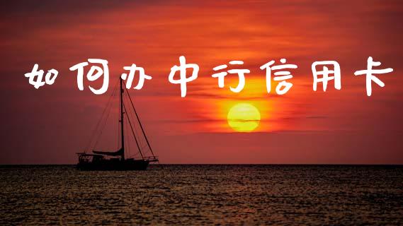 如何办中行信用卡_https://www.apanben.com_期货学院_第1张