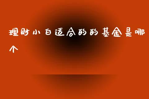 理财小白适合的的基金是哪个_https://www.apanben.com_国际财经_第1张