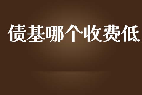 债基哪个收费低_https://www.apanben.com_国际期货_第1张