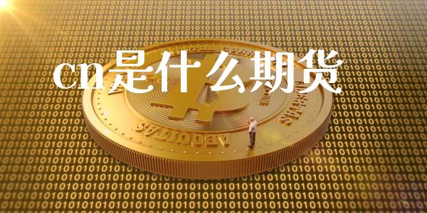 cn是什么期货_https://www.apanben.com_股票怎么玩_第1张