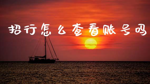 招行怎么查看账号吗_https://www.apanben.com_国际期货_第1张
