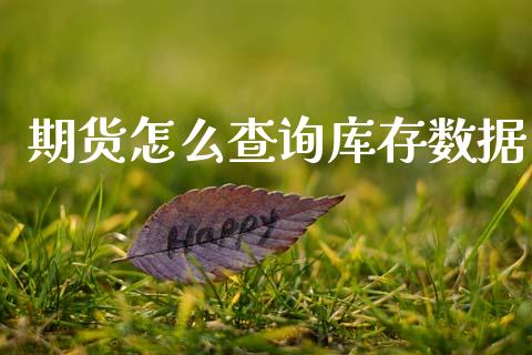 期货怎么查询库存数据_https://www.apanben.com_股市指导_第1张
