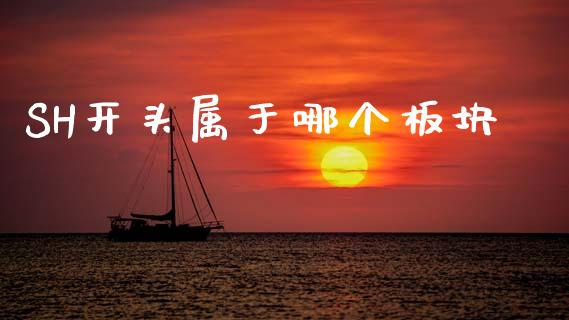 SH开头属于哪个板块_https://www.apanben.com_国际财经_第1张