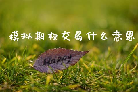 模拟期权交易什么意思_https://www.apanben.com_期货学院_第1张