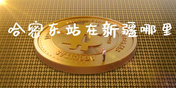 哈密东站在新疆哪里_https://www.apanben.com_国际期货_第1张