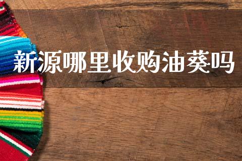 新源哪里收购油葵吗_https://www.apanben.com_财经资讯_第1张