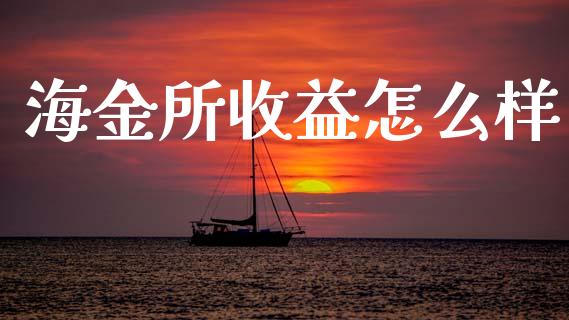 海金所收益怎么样_https://www.apanben.com_股票怎么玩_第1张