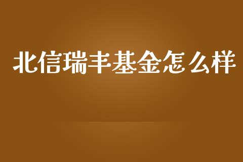 北信瑞丰基金怎么样_https://www.apanben.com_期货学院_第1张