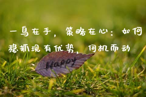一鸟在手，策略在心：如何稳抓现有优势，伺机而动_https://www.apanben.com_国际期货_第1张