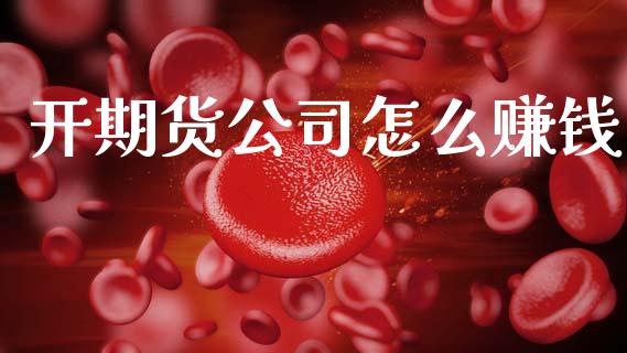 开期货公司怎么赚钱_https://www.apanben.com_股市指导_第1张