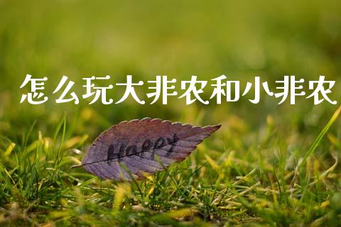 怎么玩大非农和小非农_https://www.apanben.com_国际期货_第1张