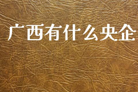 广西有什么央企_https://www.apanben.com_在线喊单_第1张