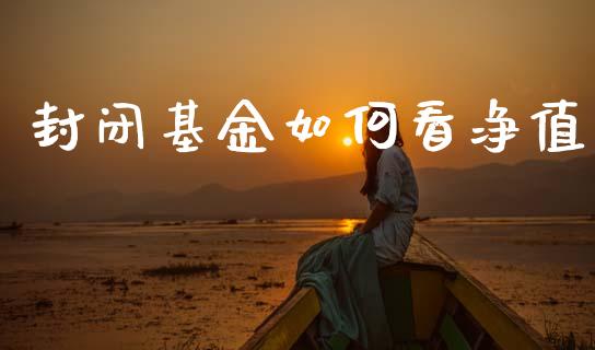 封闭基金如何看净值_https://www.apanben.com_股市指导_第1张