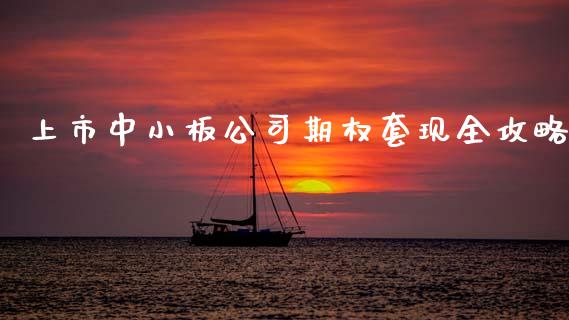 上市中小板公司期权套现全攻略_https://www.apanben.com_财经资讯_第1张