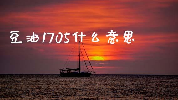 豆油1705什么意思_https://www.apanben.com_期货学院_第1张