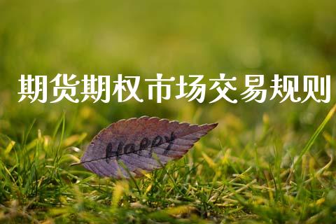期货期权市场交易规则_https://www.apanben.com_期货学院_第1张