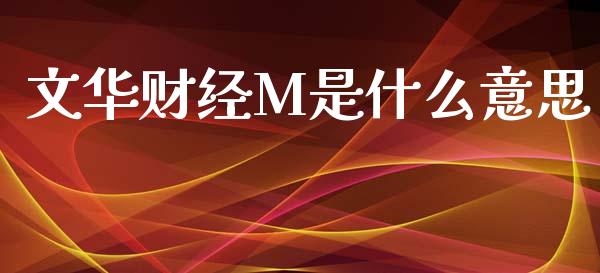 文华财经M是什么意思_https://www.apanben.com_股市指导_第1张