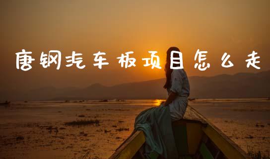 唐钢汽车板项目怎么走_https://www.apanben.com_期货学院_第1张