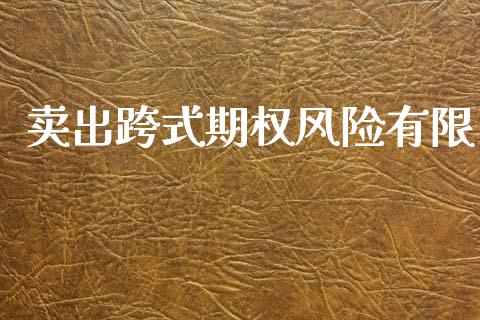 卖出跨式期权风险有限_https://www.apanben.com_财经资讯_第1张