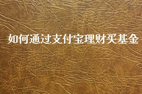 如何通过支付宝理财买基金_https://www.apanben.com_国际财经_第1张