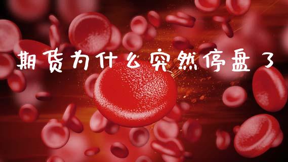 期货为什么突然停盘了_https://www.apanben.com_期货学院_第1张