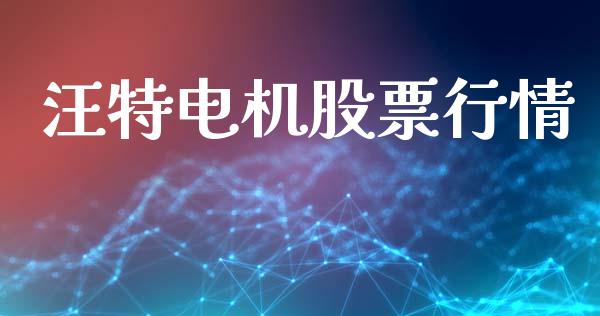 汪特电机股票行情_https://www.apanben.com_股市分析_第1张
