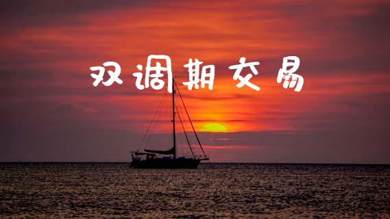 双调期交易_https://www.apanben.com_国际期货_第1张