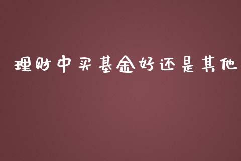 理财中买基金好还是其他_https://www.apanben.com_国际财经_第1张