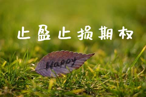 止盈止损期权_https://www.apanben.com_股市指导_第1张