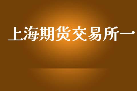 上海期货交易所一_https://www.apanben.com_股市分析_第1张