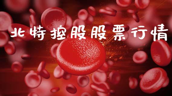 北特控股股票行情_https://www.apanben.com_股市指导_第1张